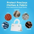 thumbnail image 2 of BugMD Clothes & Pantry Moth Traps (6 Count) – Sticky Glue Pheromone-Based Repellent for Closets, Cabinets & Wardrobes – Non-Toxic - White, 2 of 7