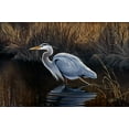 thumbnail image 2 of Goebel, Wilhelm 18x13 White Modern Wood Framed Museum Art Print Titled - Making Strides - Great Blue Heron, 2 of 4