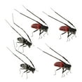 thumbnail image 3 of ziyahi 5 Pcs Modèle d'Insecte Artificiel Simulation Jouets Éducatifs pour Enfants Longicorne, 3 of 9