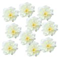thumbnail image 1 of 3x 10 piezas 9 cm / 3,58 pulgadas cabezas de flores artificiales cabezas de peonía para flores pinzas para el cabello, 1 of 9