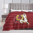 thumbnail image 4 of Oberlin College Logo Fleece Blanket, Very Soft Microfiber Flannel Blanket for Couch Warm and Cozy for All Seasons, Black, 4 of 6