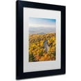 thumbnail image 2 of Trademark Fine Art "Blue Ridge Parkway" Canvas Art by Pierre Leclerc, White Matte/Black Frame, 2 of 3