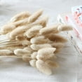 thumbnail image 2 of 100pcs Dried Natural Oval Lagurian Flowers for Home Decor, 2 of 4