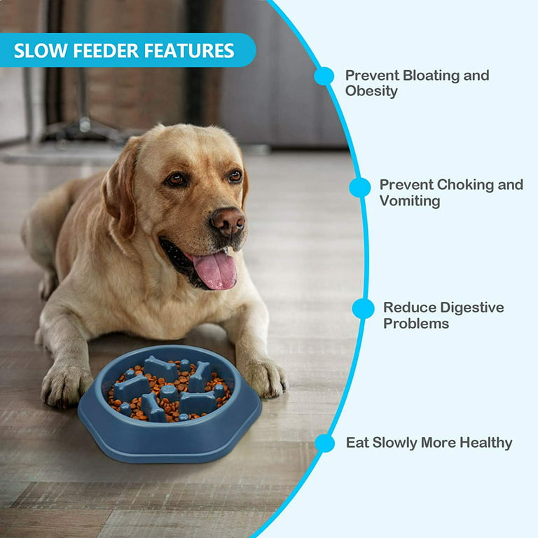 CAISHOW Slow Feeder Dog Bowl Anti Gulping Healthy Eating Interactive Bloat  Stop Fun Alternative Non Slip Dog Slow Food Feeding Pet Bowl Slow Eating