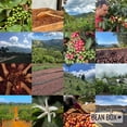 thumbnail image 5 of Single Origin Espresso Roasters Choice - Roasted by Kuma Coffee - Whole Bean Coffee - 12oz Bag, 5 of 6