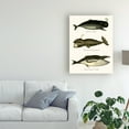 thumbnail image 3 of Trademark Fine Art 'Trio Of Vintage Whales' Canvas Art by Fab Funky, 3 of 3