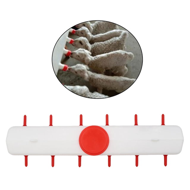 Cubo de alimentación de leche Sharpla 6 pezones