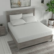 All-in-One Bed Bug Blocker Water Resistant Zippered Mattress Protector, Twin