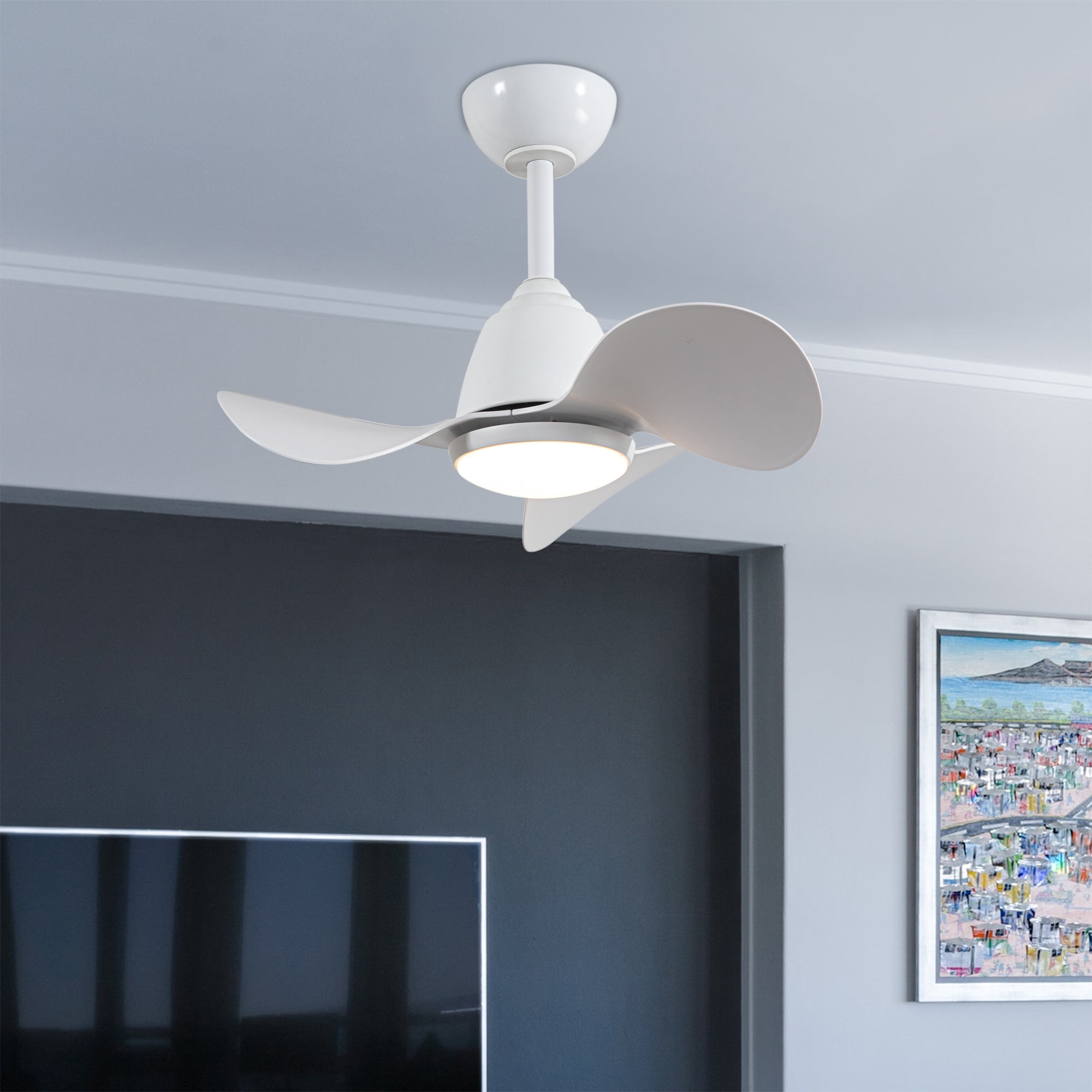 Cian 24 in. 1-Light Indoor White Finish Ceiling Fan with Light Kit