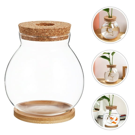 Clear Glass Hydroponic Vase Water Plant Container For Home Offices Plant Terrarium With Wooden Base Glass Flower Pot