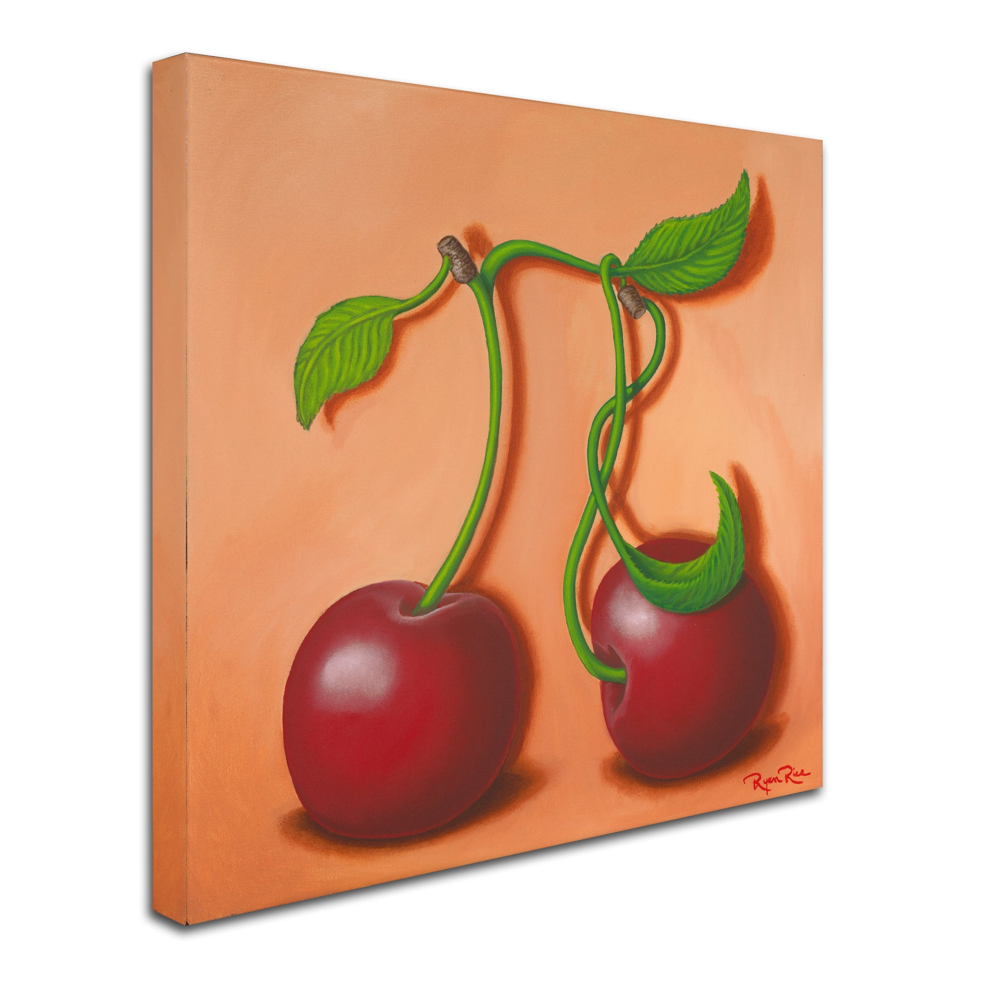 Trademark Fine Art 'Cherry Pi' Canvas Art by Ryan Rice Fine Art