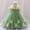 Green, variant on NAISIBABY Little Girls Princess Dress, Off the Shoulder Tutu Mesh Floral Embroidered Pageant Birthday Wedding Party Dress Pink 2T