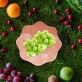 thumbnail image 1 of Fiudx Ofertas Flash Del Día Solo En Línea Bandeja De Plástico Para Frutos Secos, Juego De Bandeja De Frutos Secos De 5 A 10 Pulgadas, Mini Bandeja De Frutas Para Cocina De Postre, Bandeja De Frutas A, 1 of 7