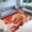Dragon in Red and White Style, variant on Chinese Japanese Red Dragon Area Rug Rectangle Area Rug, Indoor Floor Carpet for Bedroom & Lounge, Machine Washable, Easy Care, Cozy Aesthetic Home Décor, Soft Plush Touch