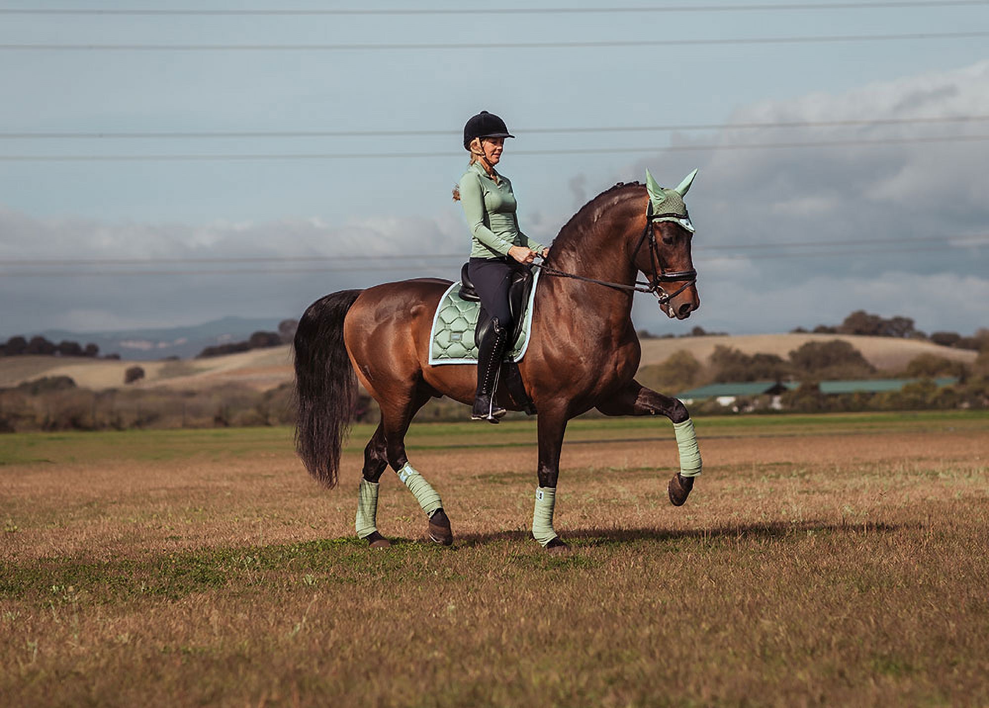 Equestrian Stockholm Fleece Bandages Pistachio White