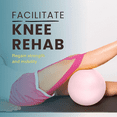 thumbnail image 3 of Pilates Ball Exercise Ball Physical Therapy, 9 Inch Exercise Ball for Between Knees, Small Core Ball, Stability Ball Barre Ball for Rehab, Yoga, Physical Therapy Ball, 3 of 6