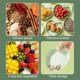 thumbnail image 5 of 5 Pc Cutlery Set With 6.29 In Food Tray Fruit Snack Bowl Can Be Used In Restaurants Food Shops Dining Halls Etc, 5 of 6