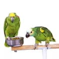 thumbnail image 2 of Alimento Granulado Tropical MascotasyAccesoriosMx 500 Gr para Aves Loros Pericos, 2 of 3