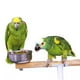 thumbnail image 2 of Alimento Granulado Tropical MascotasyAccesoriosMx 500 Gr para Aves Loros Pericos, 2 of 3