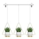 thumbnail image 1 of Maceta colgante, varilla retráctil para colgar, soporte de hierro para flores, cesta colgante de resina para jardinería, maceta colgante, maceta para colgar en la pared, 1 of 5