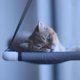 thumbnail image 5 of Hamaca para ventana de gato con ventosas, cama para asiento de gato montada en ventana lavable que ahorra espacio, para tomar el sol por todas partes, 5 of 8