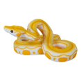 thumbnail image 1 of Creative Simulated Snake Vivid Flexible Gag Prank Playing Jokes Snake Prop for Entertaining, 1 of 10