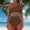 Brown, variant on Oplxuo Women Mesh One Piece Swimsuit - Tummy Control One Shoulder Bathing Suit Cut Out Swimwear 2026