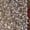 Silver, variant on Silver Sequin Embellished Maxi Skirt With Side Slit For Women Holiday Party Elegant Evening Wear