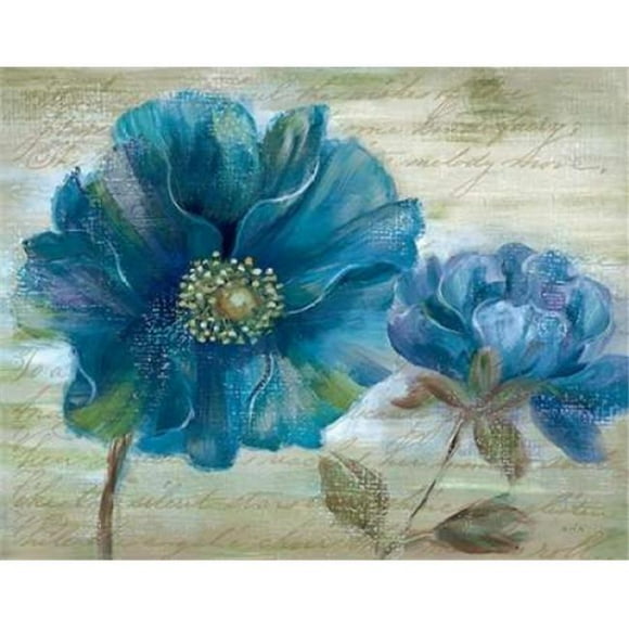 Poème de Pavot Bleu I Poster Imprimé par Nan&44; 22 x 28 - Grand