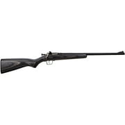 DO NOT PUBLISH Crickett 244 Crickett Bolt .22 Long Rifle 16.5" Laminated, Blue
