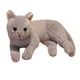 thumbnail image 4 of Almohada muñeca de peluche Hugo gato realista para oficina sala de estar dormitorio Gris, 4 of 10