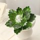 thumbnail image 4 of Rapeiae 15CM Adhesive Powder Flocking Christmas Flower High-end Fabric Christmas Decoration Simulation Flower, 4 of 6