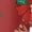 Cartoon Santa Claus Snowman, variant on Mandala Tribal Horse Fluffy Zip Up Jacket for Girls and Teen Girls - Trendy Fall Pullover for Daily Wear and Gym kids Fleece Hoodies