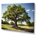 thumbnail image 2 of Designart "Majestic Oak Trees Nature s Wonders II" Floral Wall Decor, 2 of 5
