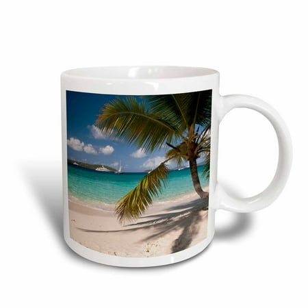 3dRose USVI, St John. Beach, Honeymoon BaySalomon Bay - CA37 TDR0023 - Trish Drury, Ceramic Mug,