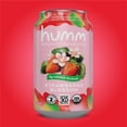 thumbnail image 3 of Humm Kombucha, Strawberry Blossom, 12 Pack, 12 oz Cans, 3 of 6