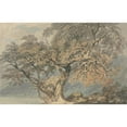 thumbnail image 3 of Joseph Mallord William Turner 24x17 Black Modern Framed Museum Art Print Titled - A Great Tree (ca. 1796), 3 of 5