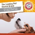 thumbnail image 5 of Arm & Hammer Durable Nylon Dental Chew Toy for Dogs, Peanut Butter Flavor, 5 of 10