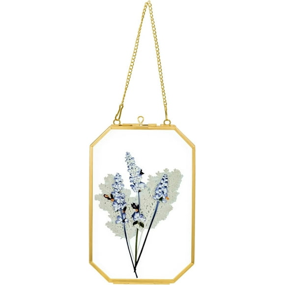 shiyou-Double Glass Frame for Pressed Flowers with ChainFloating Frame Style Gallery Wall Frame for Artwork Photo, Picture, Pressed Dried Flowers, Plant Specimen (GF GOLD-S)