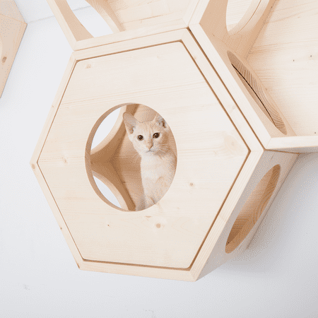 キャットウォーク キャットステップ 猫用品 ペット用品 猫家具 猫ベッド 壁掛け ペット共生 猫部屋 賃貸おすすめ 六角ハウスカバー MYZOO MZ0011