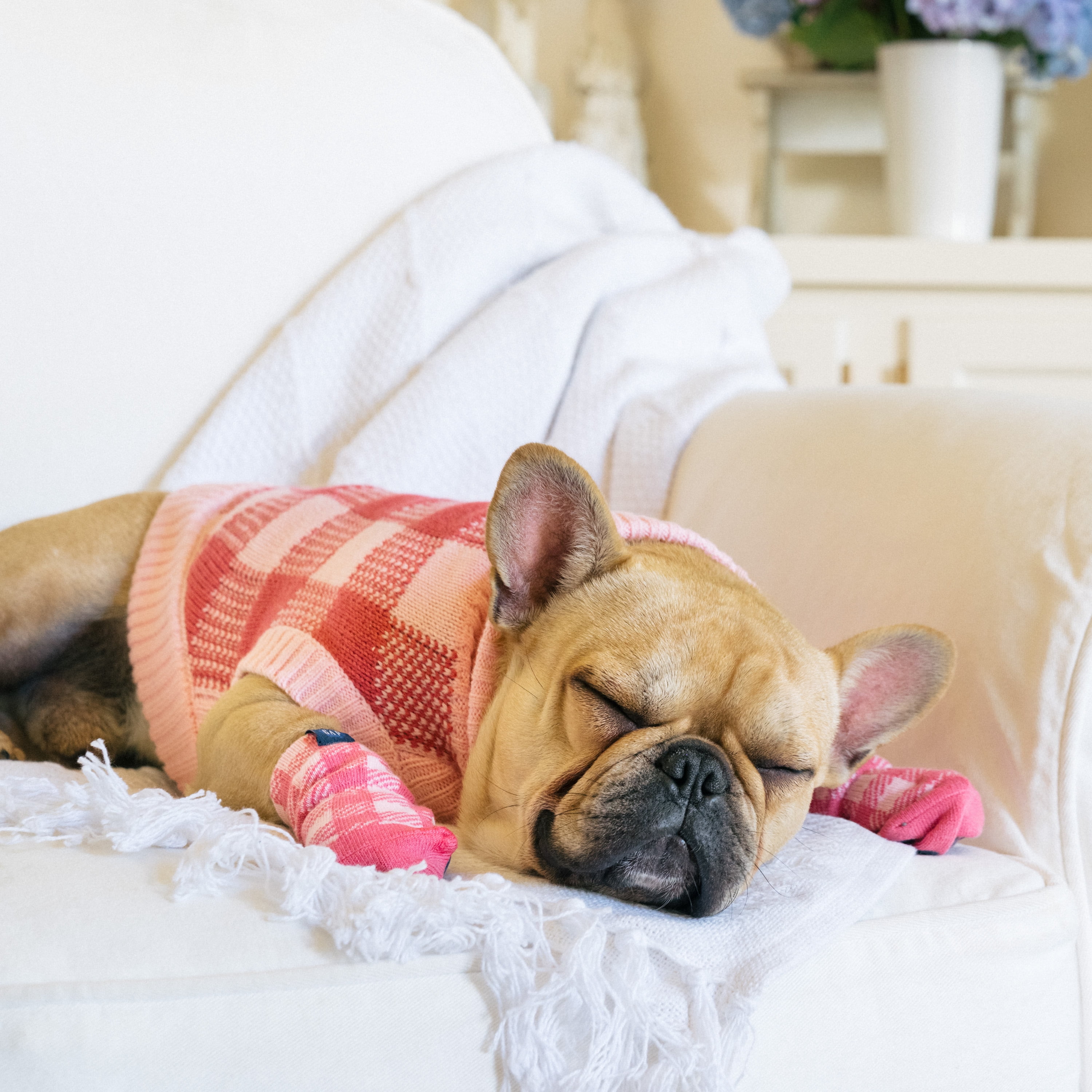 Gap Pet, Dog Clothes, Pink Buffalo Plaid Pet Sweater