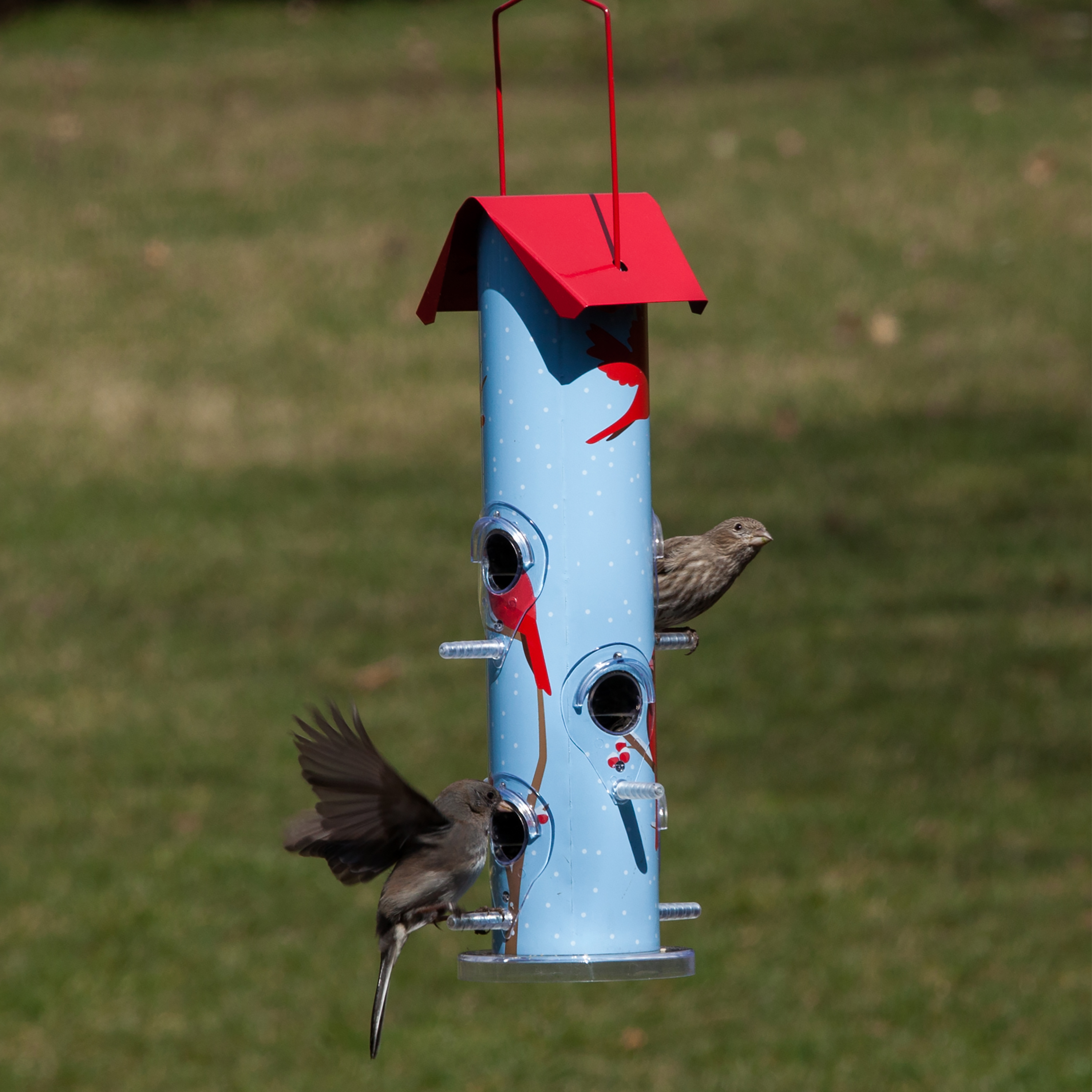 Perky-Pet Cardinal Metal Tube Wild Bird Feeder