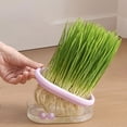 Purple Soilless Hydroponic Plantsers for Growing Edible Plantss and ...