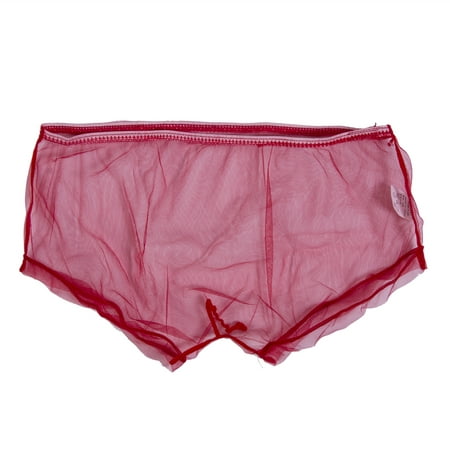 Sylvamorning New Sexy Men´s Sheer Mesh Boxer Briefs Shorts Underwear ...