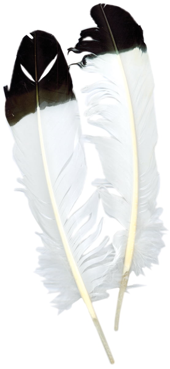 Imitation Eagle Quill Feathers, 2/Pkg, White With Black Tip