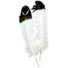 Imitation Eagle Quill Feathers, 2/Pkg, White With Black Tip