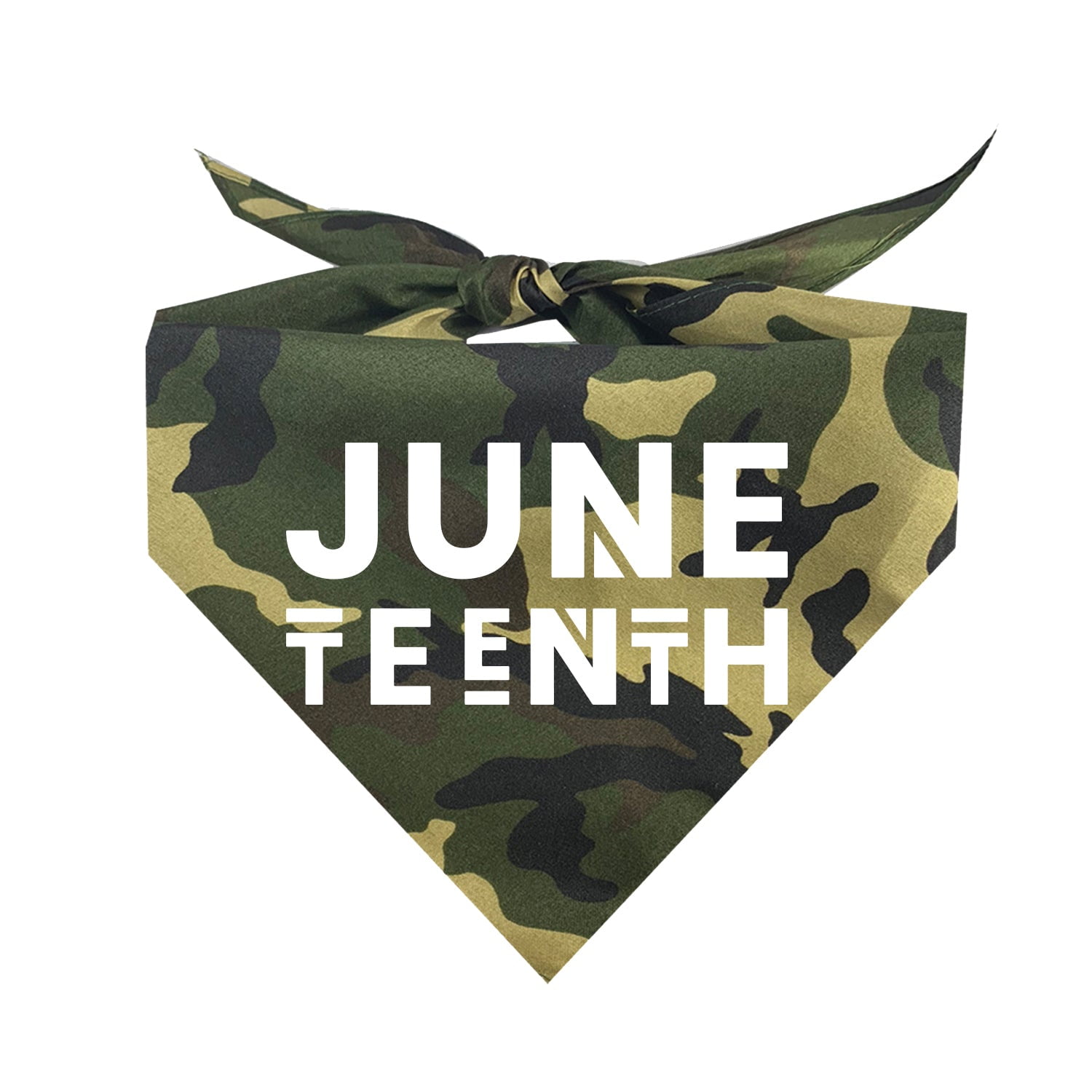 Black Lives Matter Protest Triangle Dog Bandana