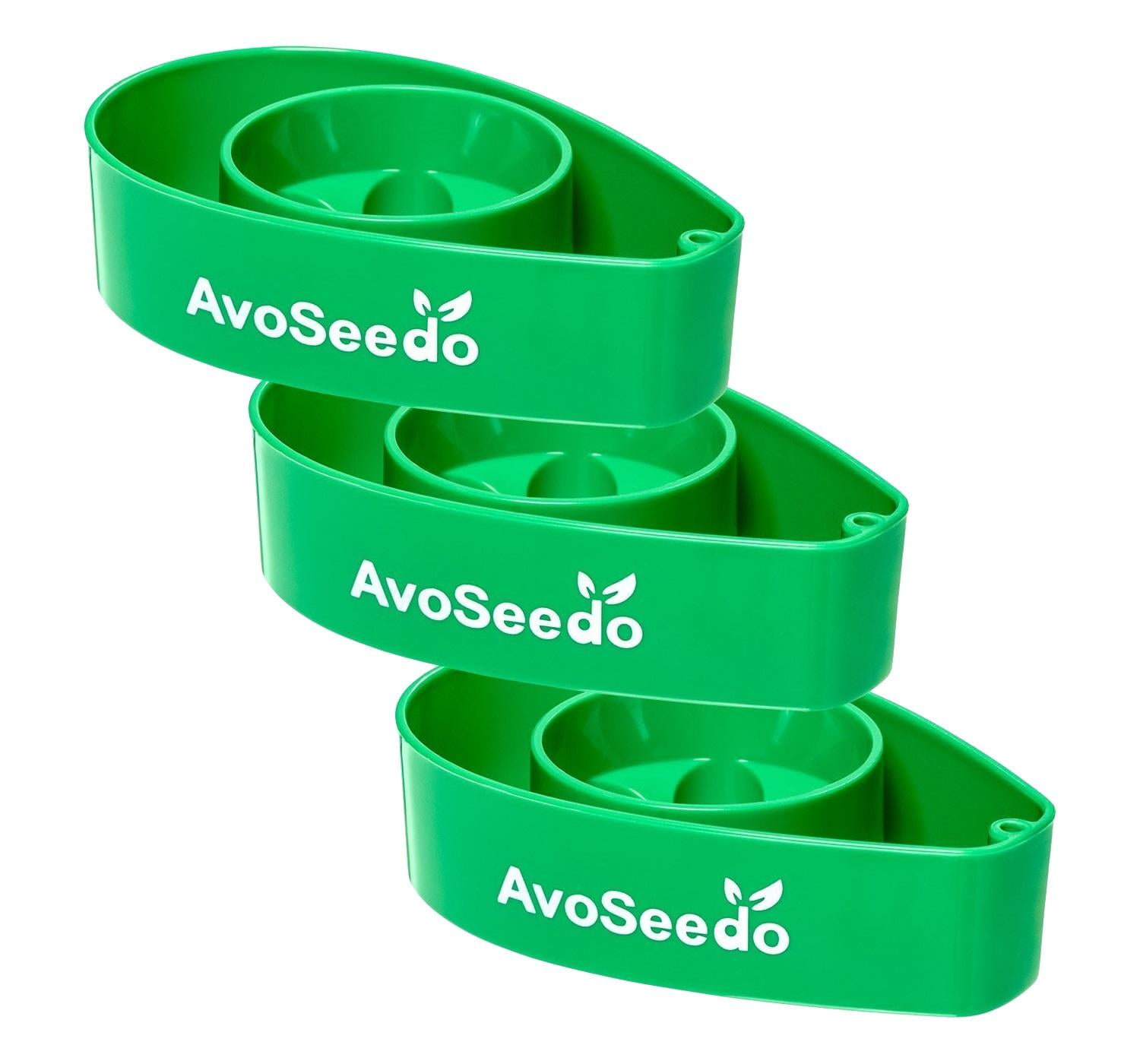 3 Pack AvoSeedo Bowl Grow Your Own Avocado Tree Perfect Avocado Tree Growing Kit for Every Avocado Lover Evergreen All Green