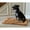 Brown, variant on Armarkat Pet Bed Mat 27-Inch by 19-Inch by 2.5-Inch M01-Medium