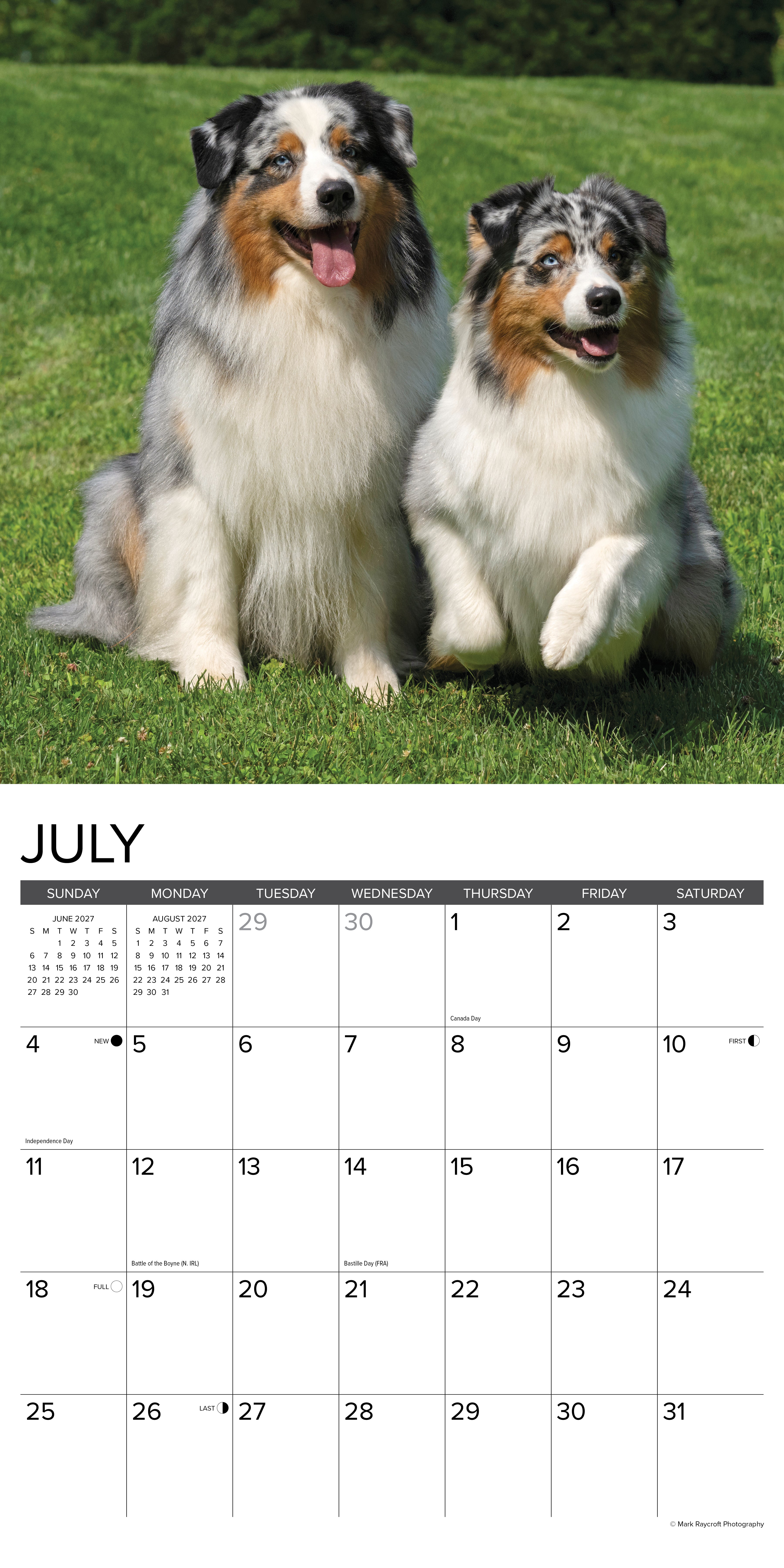 Willow Creek Press, Australian Shepherds 2027 Wall Calendar